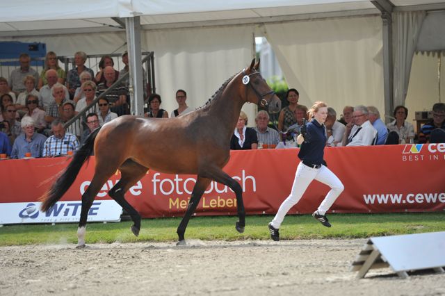 DantesGirl_Juli2014