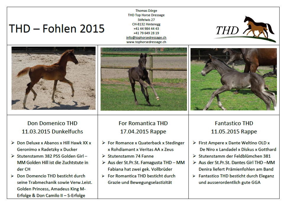 THDFohlen2015